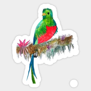 Quetzal Watercolor Sticker